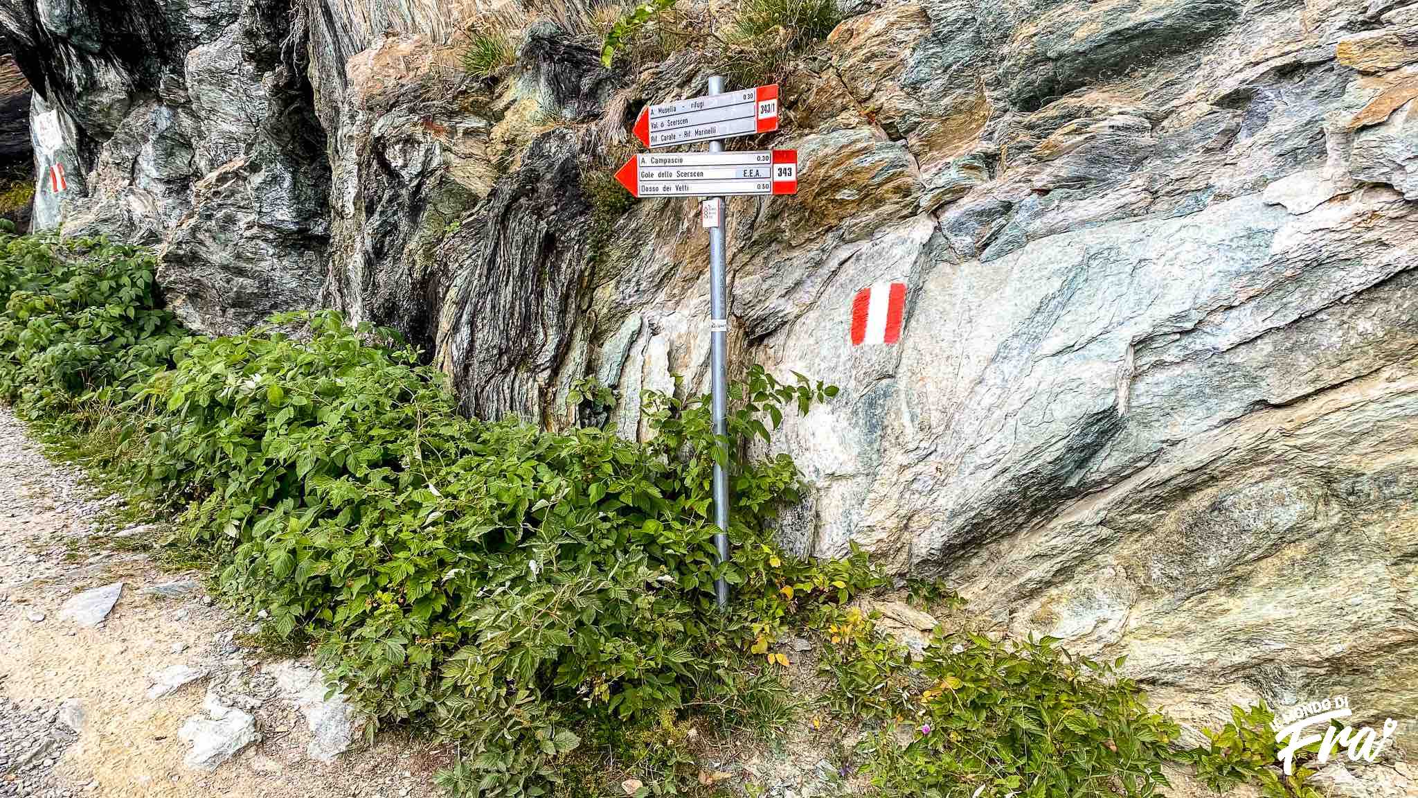 Pranzare in rifugio in Valmalenco - Rifugio Alpe Musella