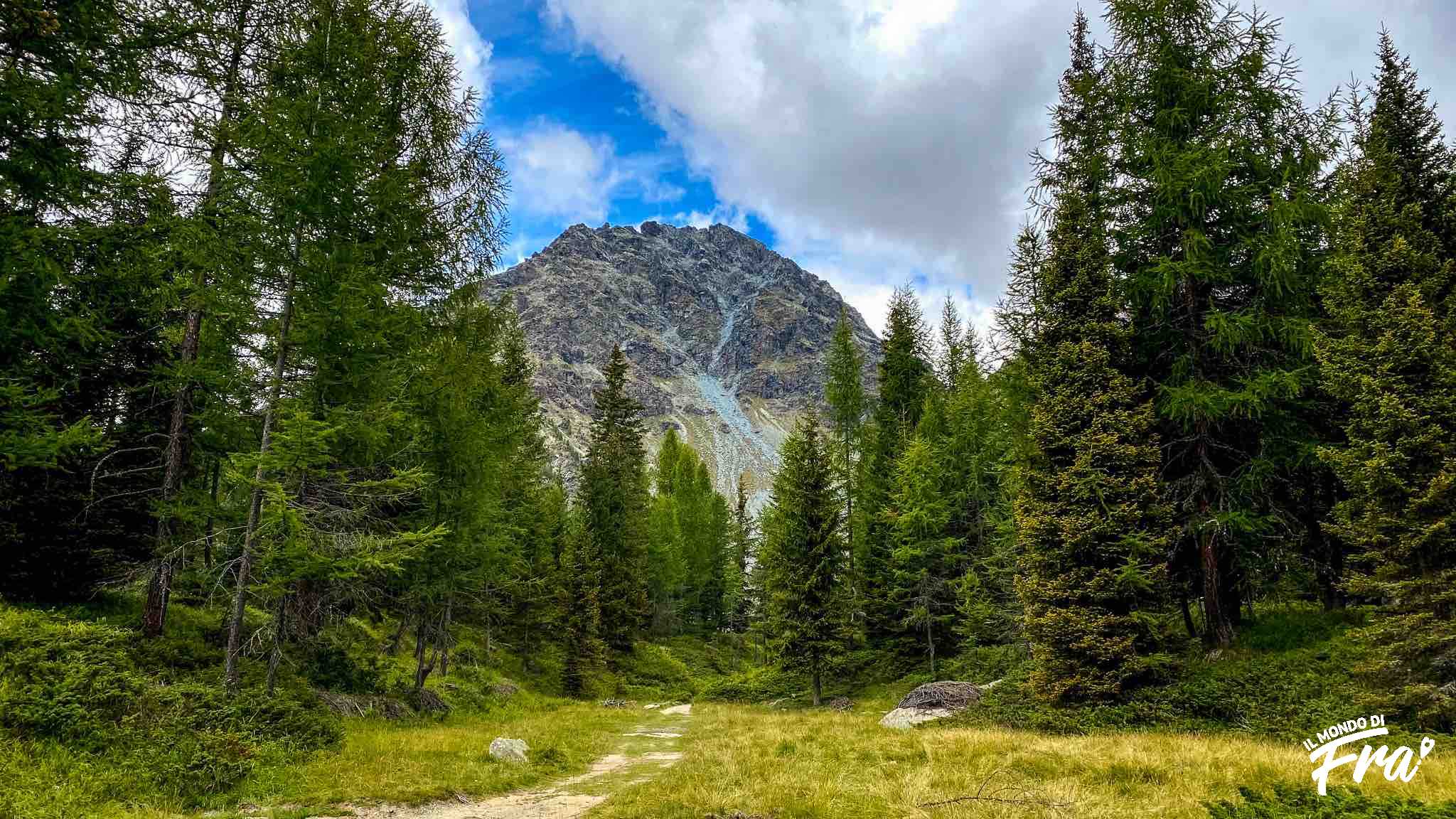 Pranzare in rifugio in Valmalenco - Rifugio Alpe Musella