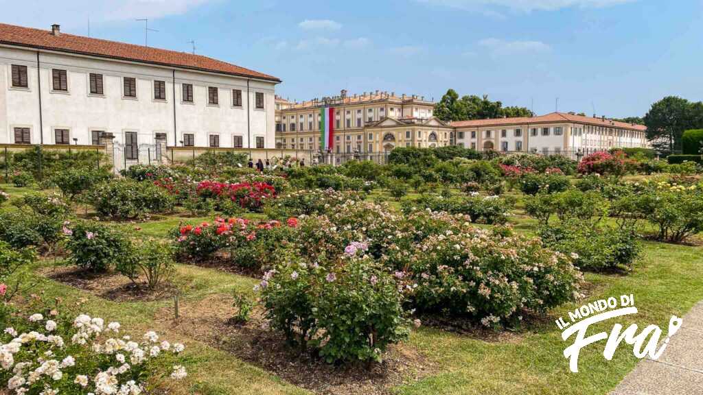 Cosa vedere a Monza in un giorno: il Roseto Niso Fumagalli