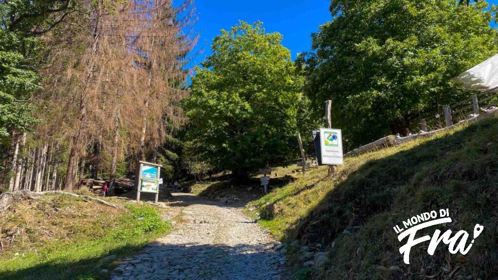 Agriturismo in Valentina - Sentiero geologico per Prim'Alpe e Terz'Alpe - Foresta regionale dei Corni di Canzo