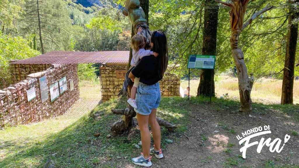 Bambina scopre il sentiero Spirito del Bosco - Prim'Alpe e Terz'Alpe - Foresta regionale dei Corni di Canzo