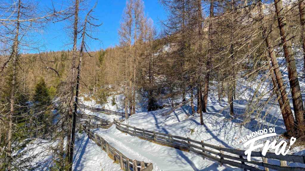 Sentiero dei Larici - Alta Badia - Alto Adige
