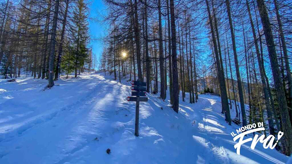 Sentiero dei Larici - Alta Badia - Alto Adige