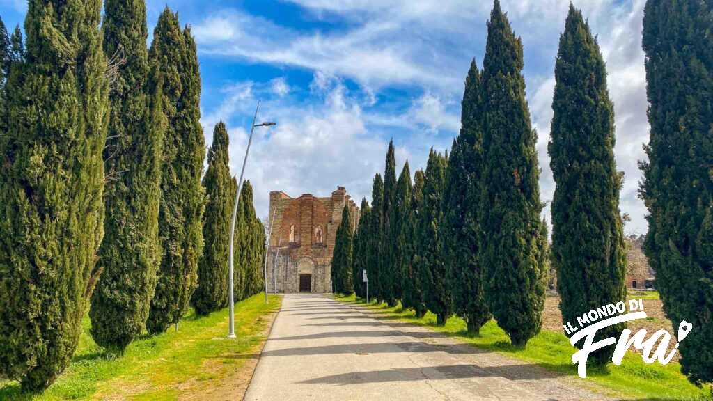 Viale d'ingresso Abbazia San Galgano - Toscana