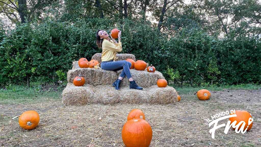 Halloween Time: campo di zucche sulle rive del lago di Annone