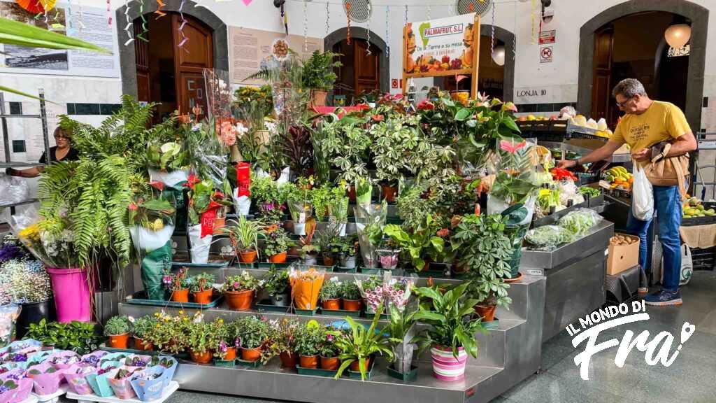 Mercato Municipale - Santa Cruz de la Palma