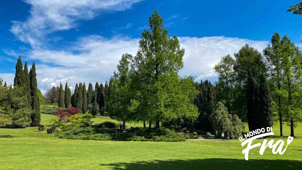 Laghetti fioriti a Parco Sigurtà