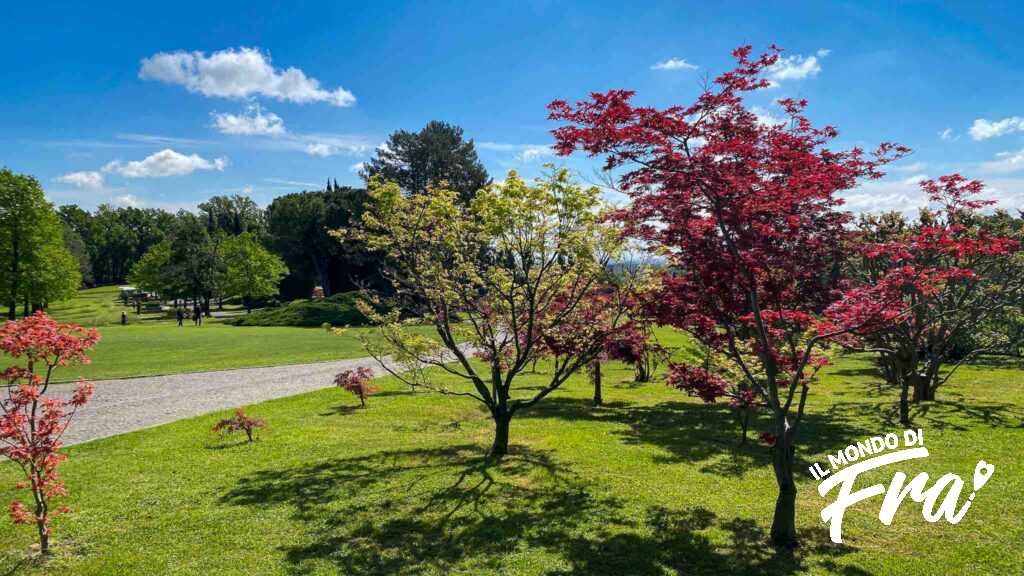 Parco Sigurtà - Verona